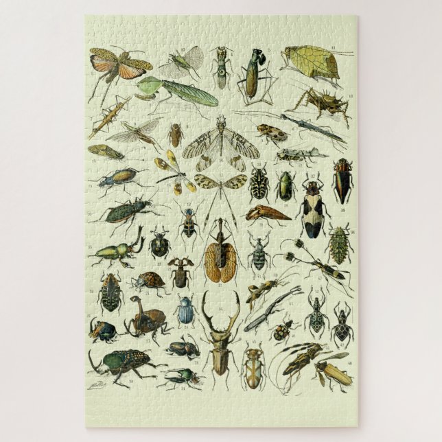 Vintage Insects Jigsaw Puzzle (Vertical)