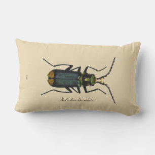 Vintage Insects Malachite Beetle Entomology Revers Lumbar Cushion