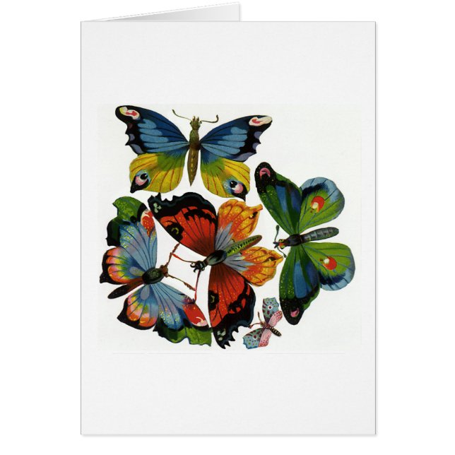 Vintage Insects or Bugs, Beautiful Butterflies (Front)