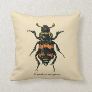 Vintage Insects Sexton Beetle Entomology Revers. Cushion