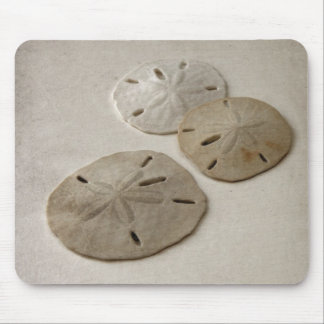Vintage Inspired Sand Dollars Mouse Pad