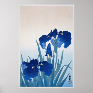 Vintage Iris Flowers Illustration Poster