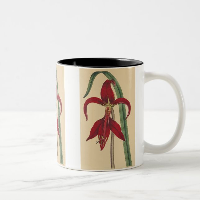 Vintage Iris Mug (Right)