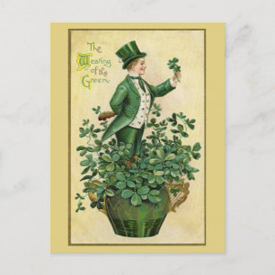 Vintage Irish Boy St. Patrick's Day Holiday Postcard