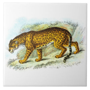 Vintage Jaguar Animal Illustration Ceramic Tile