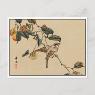 Vintage Japanese Art Bird in Tree Postcard