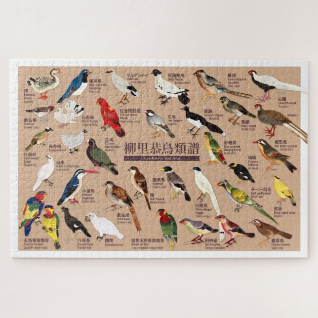 Vintage Japanese Bird Atlas Illustration Jigsaw Puzzle (Horizontal)