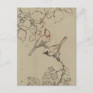 Vintage Japanese Birds Image Postcard