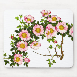 Vintage Japanese Cherry Blossoms, Pink and Gold Mouse Pad
