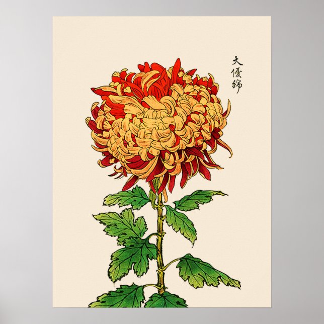 Vintage Japanese Chrysanthemum. Gold and Orange Poster (Front)