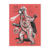 Vintage Japanese Cutaway Monster Postcard