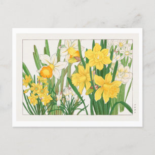 Vintage Japanese Daffodil Woodblock Print Postcard
