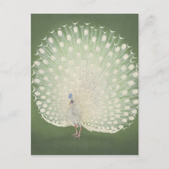 Vintage Japanese Fine Art | Peacock Postcard (Front)