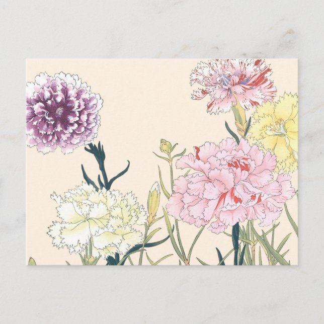 Vintage Japanese Floral Pink Carnation Flowers Postcard (Front)