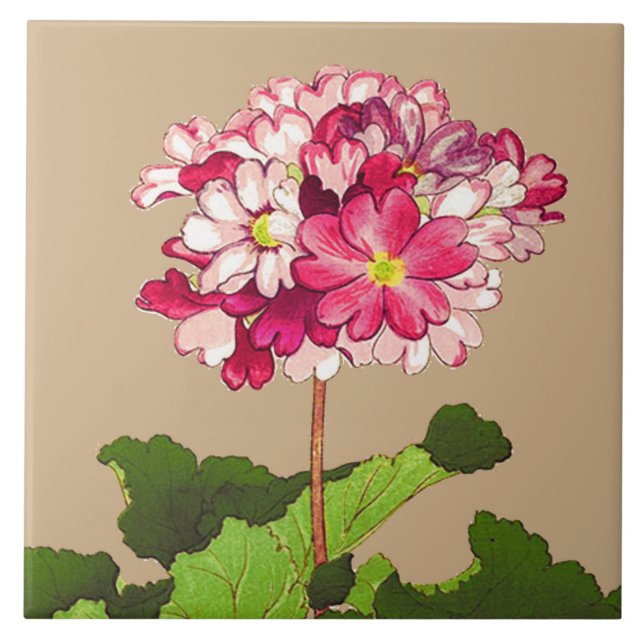 Vintage Japanese Hydrangea. Pink and Green Tile (Front)