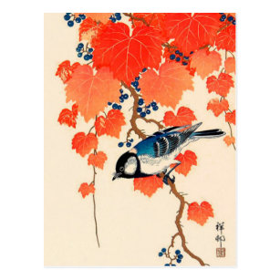 Vintage Japanese Jay Bird and Autumn Grapevine Postcard
