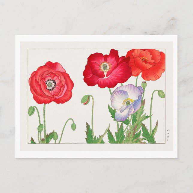 Vintage Japanese Poppy Woodblock Print Postcard (Front)