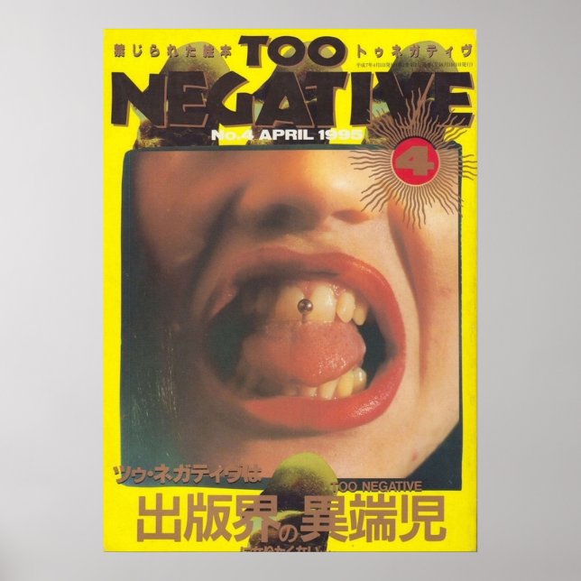 Vintage Japanese Poster (Front)