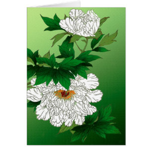 Vintage Japanese Sketch of Large White Peony