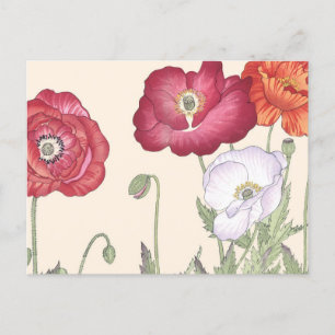 Vintage Japanese Ukiyo Art Poppy Flowers Postcard