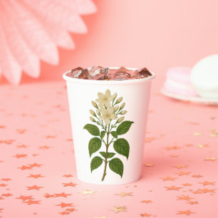 Vintage Jasmine Paper Cups