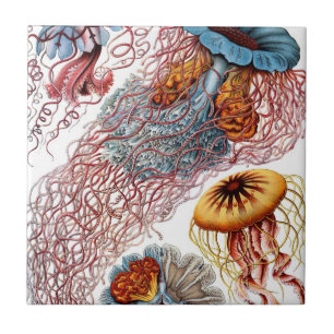Vintage Jellyfish by Ernst Haeckel, Discomedusae Ceramic Tile