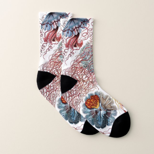 Vintage Jellyfish by Ernst Haeckel, Discomedusae Socks (Pair)