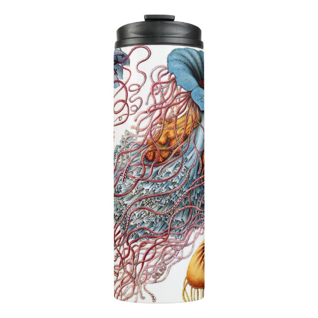 Vintage Jellyfish by Ernst Haeckel, Discomedusae Thermal Tumbler (Front)