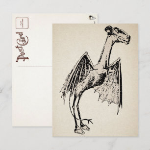 Vintage Jersey Devil Postcard