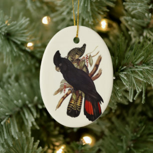 Vintage John Gould Red-Tailed Black Cockatoo Art Ceramic Ornament