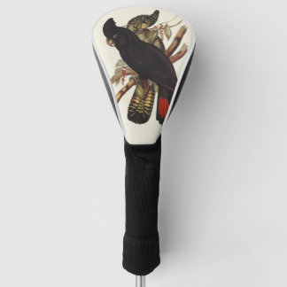 Vintage John Gould Red-Tailed Black Cockatoo Art Golf Head Cover