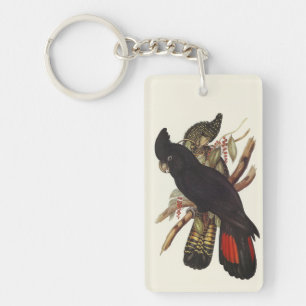  Vintage John Gould Red-Tailed Black Cockatoo Art Key Ring