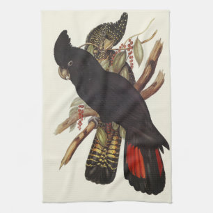 Vintage John Gould Red-Tailed Black Cockatoo Art Tea Towel
