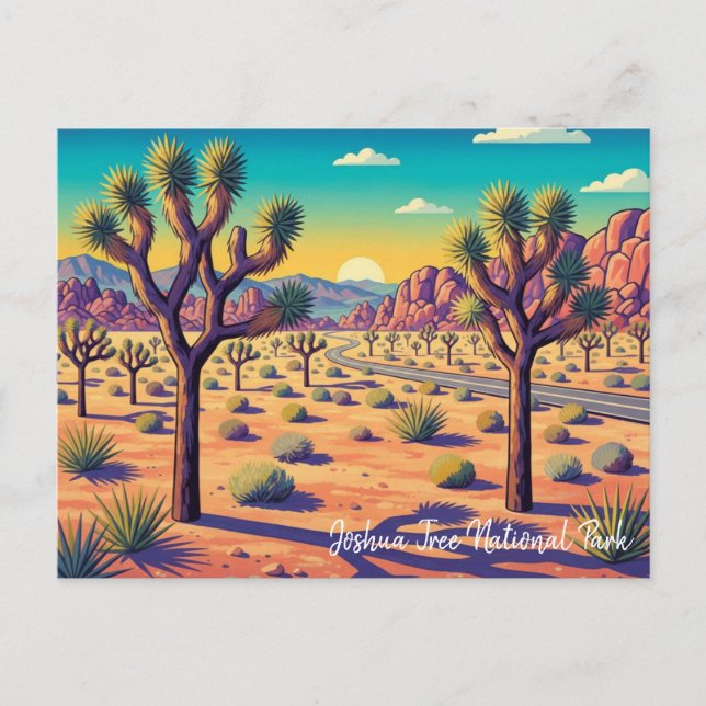 Vintage Joshua Tree National Park Postcard (Front)