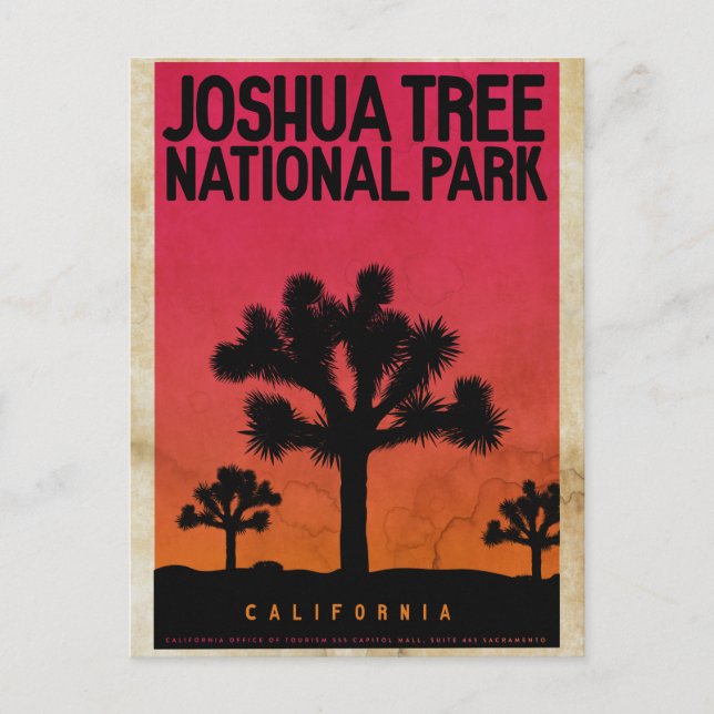 Vintage Joshua Tree Sunset Travel Postcard (Front)