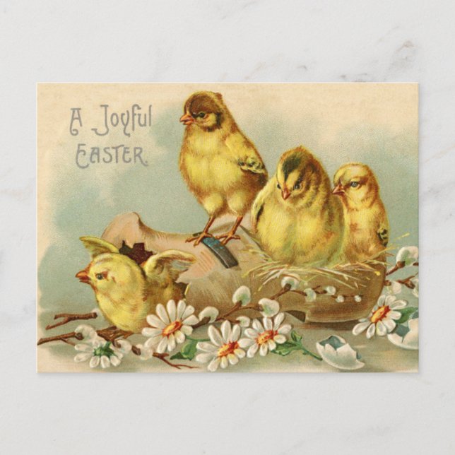 Vintage Joyful Easter Chicks in a Shoe Postcard (Front)