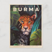 Vintage jungle leopard