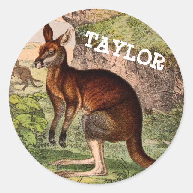 Vintage kangaroo with name classic round sticker (Front)