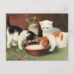 Vintage Katzen und Milch Postcard