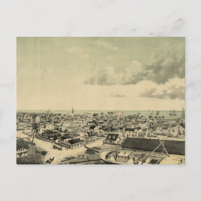 Vintage Key West Illustration Postcard (Front)