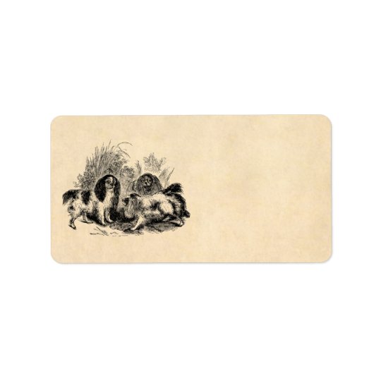 Vintage King Charles Spaniel Dog 1800s Spaniels Address Label