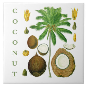 Vintage Kitchen Art: Coconut Tree & Flower Ceramic Tile