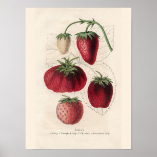 Vintage Kitchen Wall Art