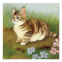 Vintage Kitten Illustration with Flowers