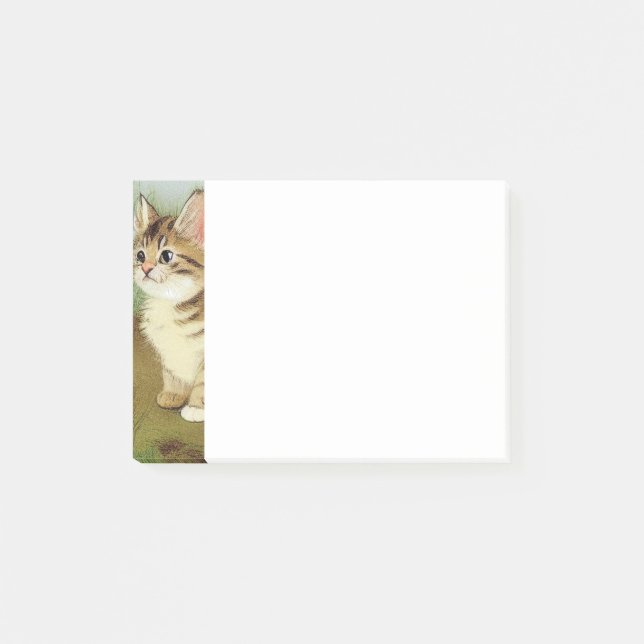 Vintage Kitten Illustration with Flowers Post-it Notes (Front)