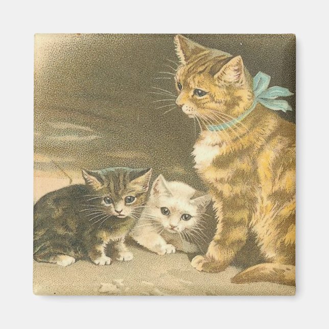 Vintage Kitten Magnet (Front)
