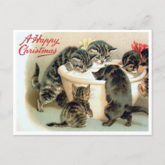 Vintage Kitten Postcard - Cute Christmas Cats