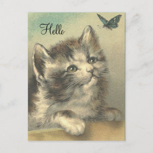 Vintage Kitten watching Butterfly - Post Card