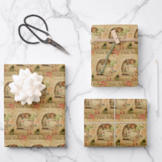 Vintage kitty cat pet stylish kitten retro wrapping paper sheet