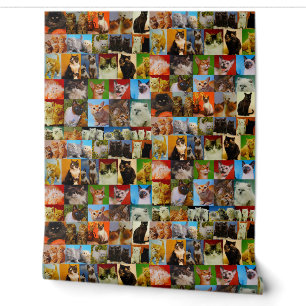 Vintage Kitty Collage Wallpaper